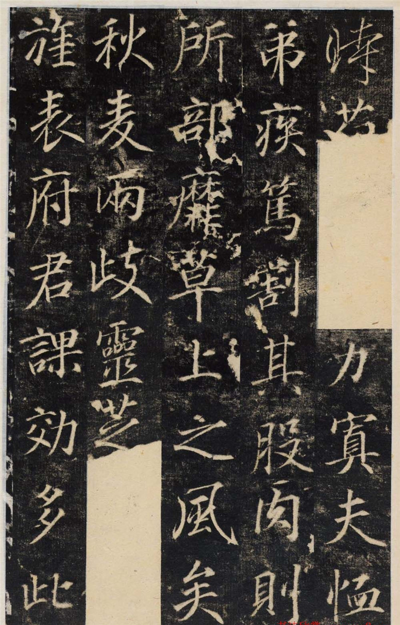 唐代行楷書法碑帖《王履清碑》（局部）