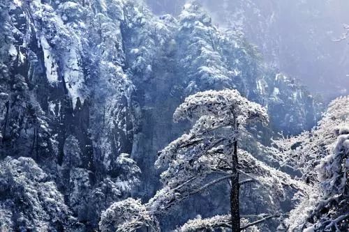 雪后黃山風(fēng)景宛如人間仙境，舞一曲雪中霓裳羽