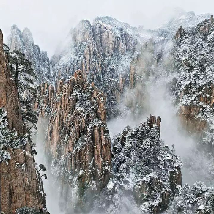 雪后黃山風(fēng)景宛如人間仙境，舞一曲雪中霓裳羽