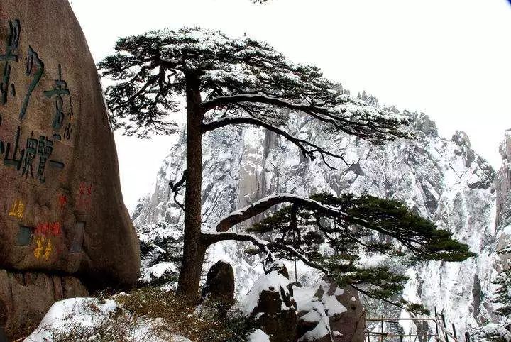 雪后黃山風(fēng)景宛如人間仙境，舞一曲雪中霓裳羽