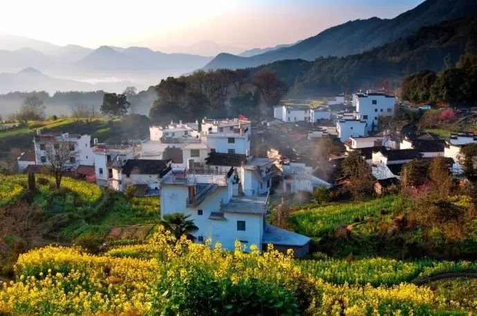 美到窒息的中國最美油菜花海，邂逅花海風(fēng)景！