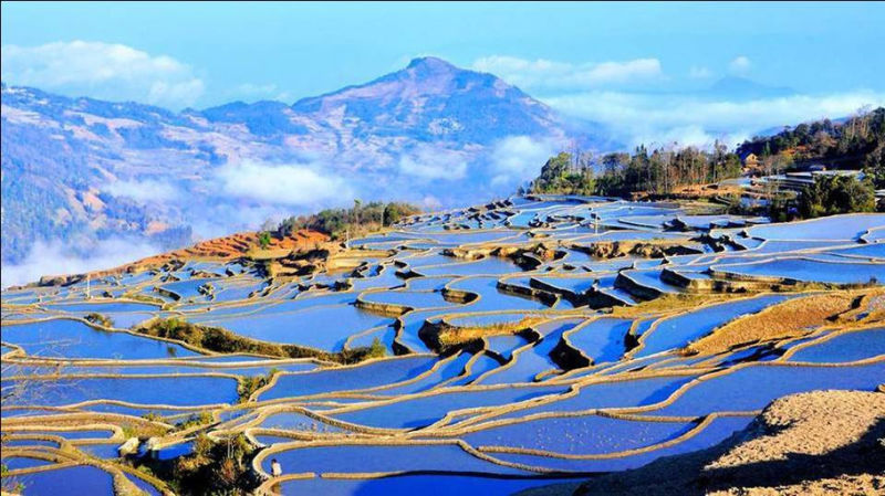 藍(lán)色的元陽梯田風(fēng)光攝影