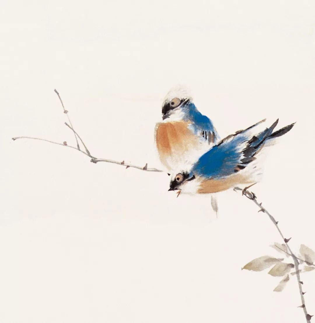 100幅禽鳥百圖，國(guó)畫鳥類美醉了！