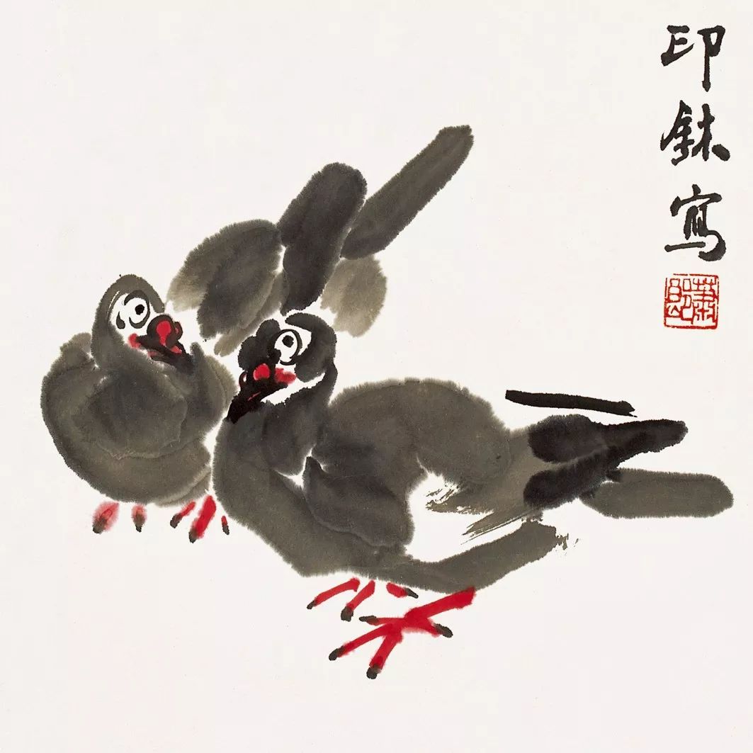 100幅禽鳥(niǎo)百圖，國(guó)畫(huà)鳥(niǎo)類美醉了！