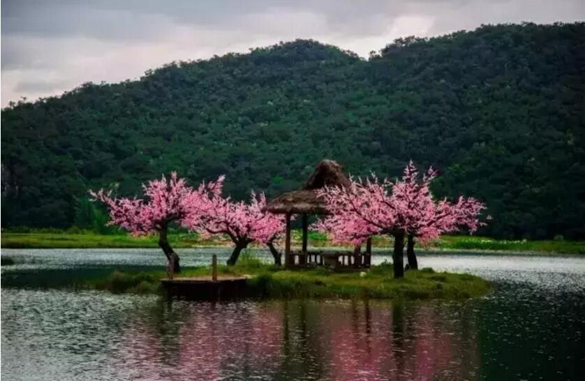 《三生三世十里桃花》的外景拍攝地！