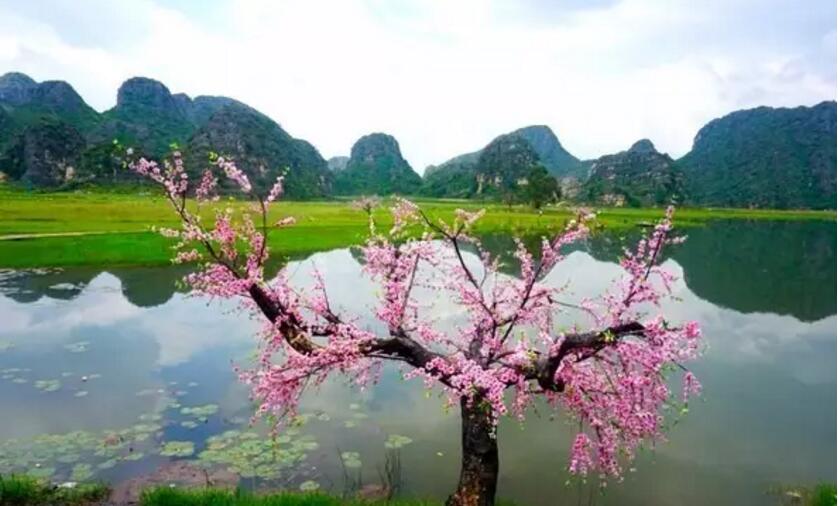 《三生三世十里桃花》的外景拍攝地！