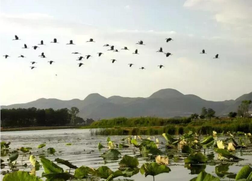 《三生三世十里桃花》的外景拍攝地！