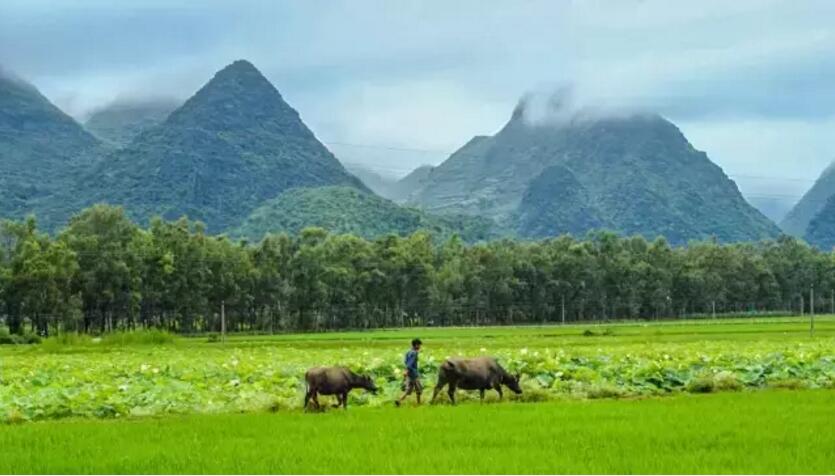 《三生三世十里桃花》的外景拍攝地！