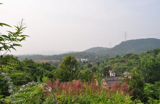 林彪祖墳風水好嗎？揭秘林彪祖墳風水