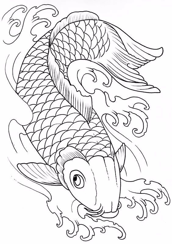 9幅白描畫《魚》：勾勒活靈活線的魚