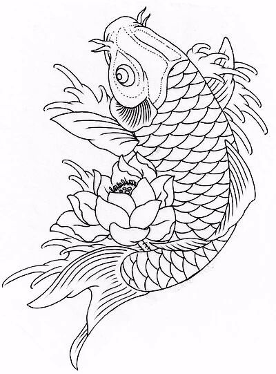 9幅白描畫《魚》：勾勒活靈活線的魚