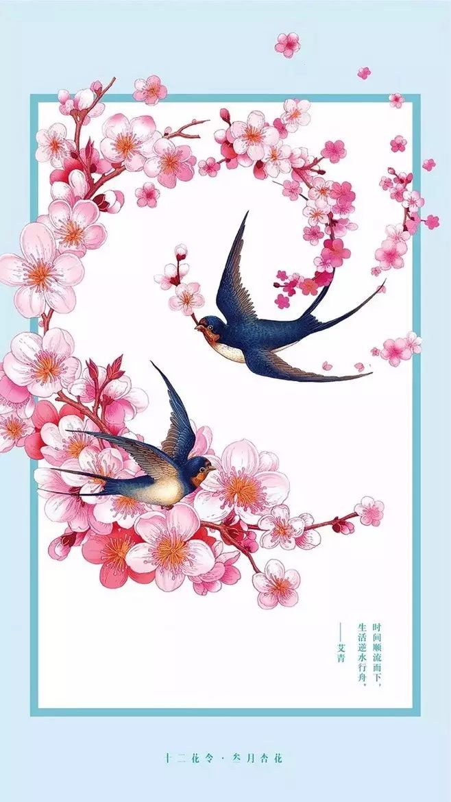 十二花令插畫圖片：以花為媒四季流轉(zhuǎn)