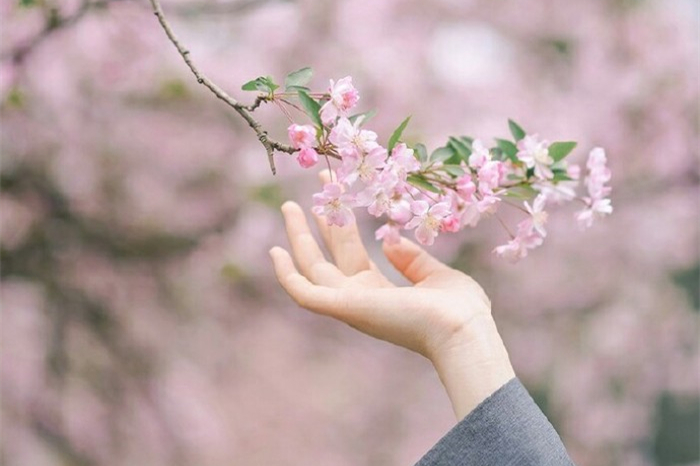 玉手撫枝古風(fēng)頭像，唯美女子纖手頭像