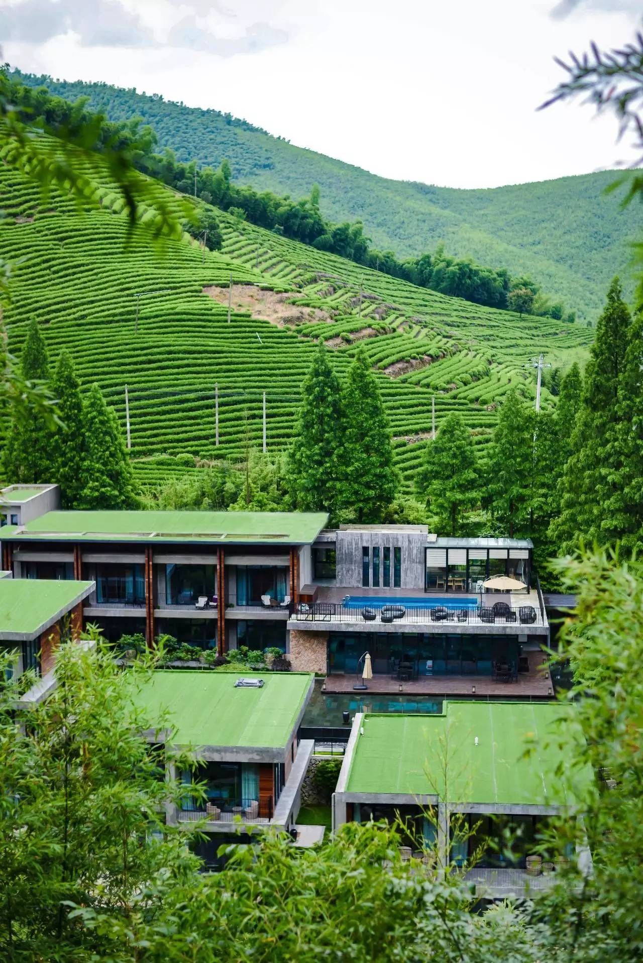 莫干山悠然九希，面朝竹海背向茶山的避暑圣地