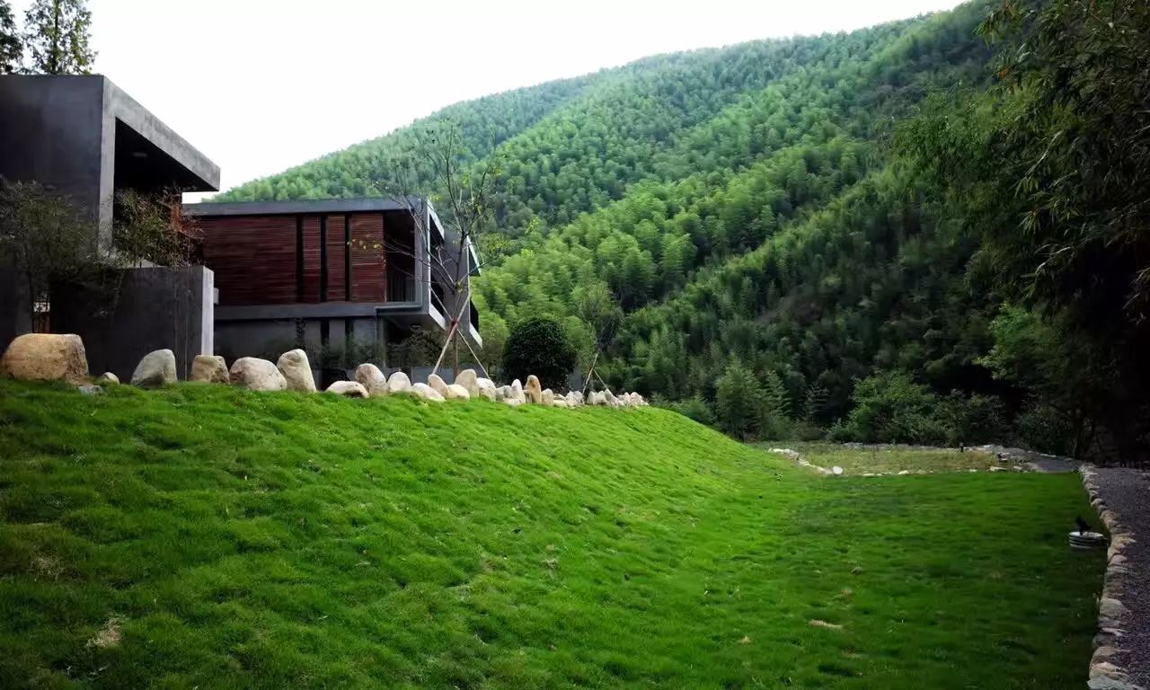 莫干山悠然九希，面朝竹海背向茶山的避暑圣地